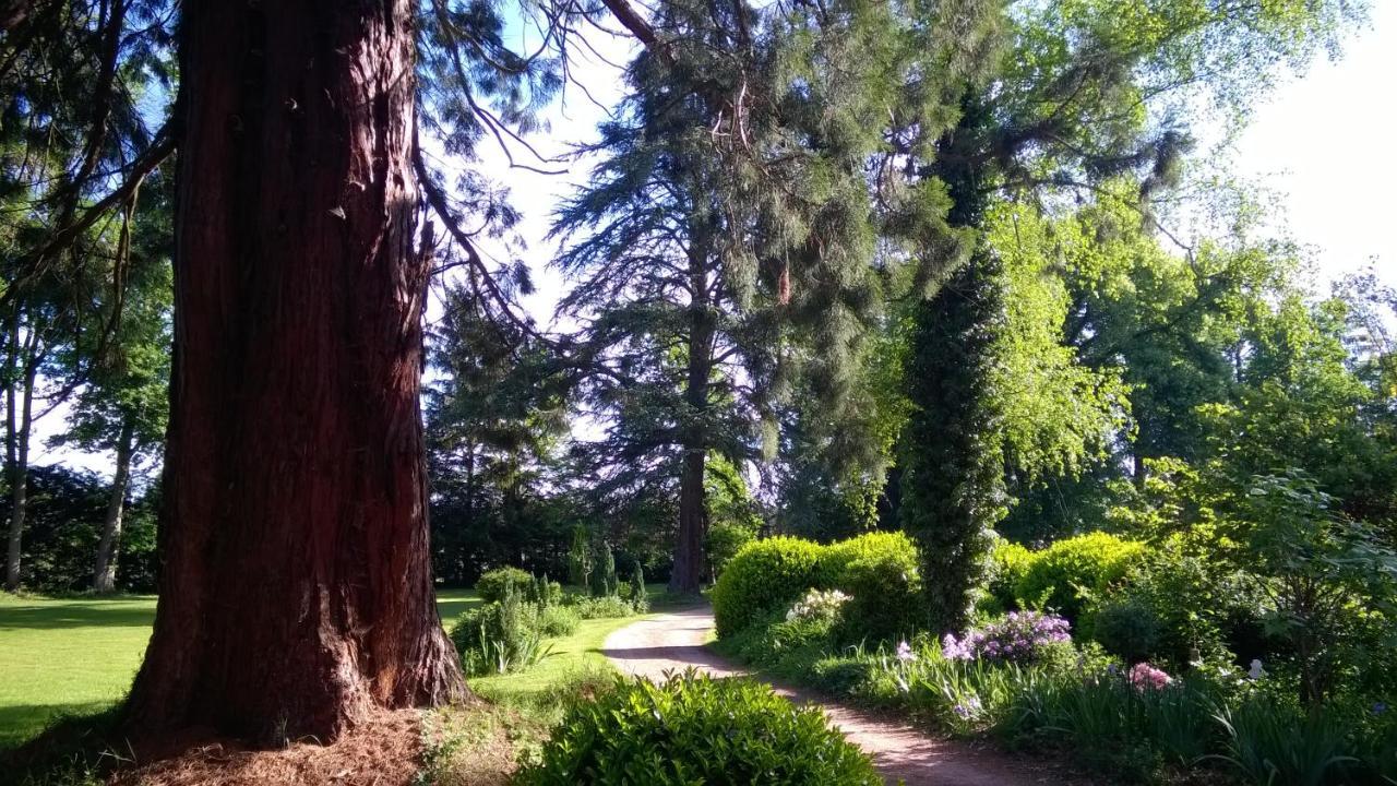 Chateau De La Vernede, La Grande Vernede Saint-Rémy-de-Chargnat 外观 照片