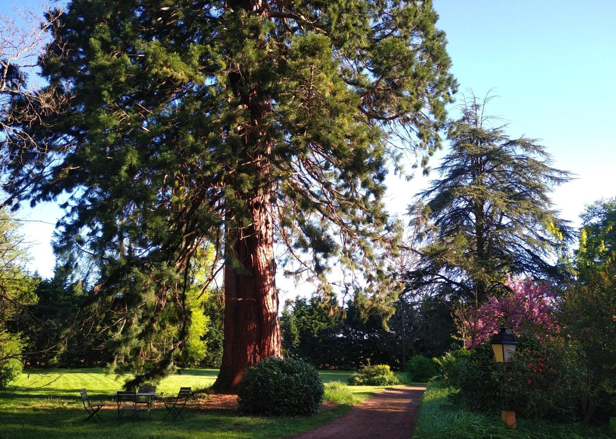 Chateau De La Vernede, La Grande Vernede Saint-Rémy-de-Chargnat 外观 照片